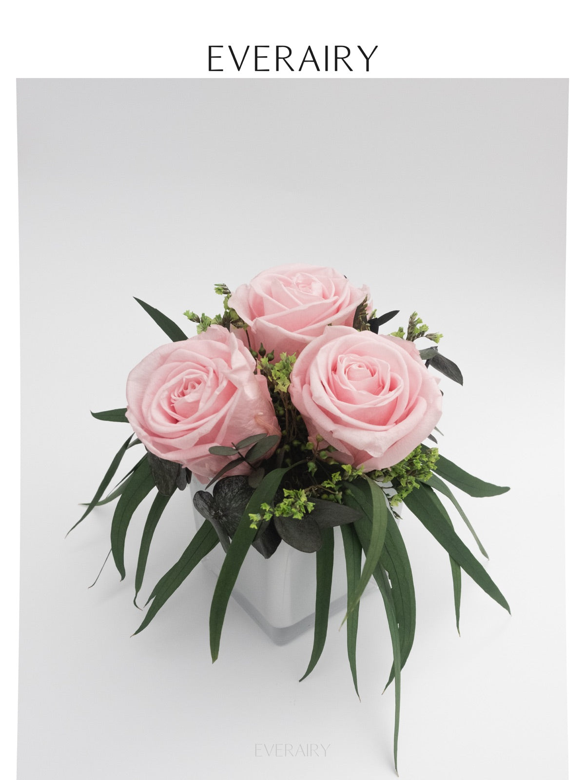 Blush Arc product photograph