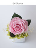 Petal Whisper - Preserved Flower Arrangement