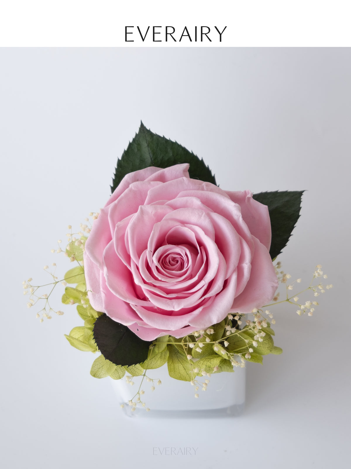 Petal Whisper - Preserved Flower Arrangement