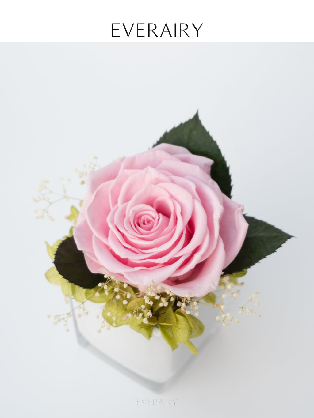 Petal Whisper - Preserved Flower Arrangement