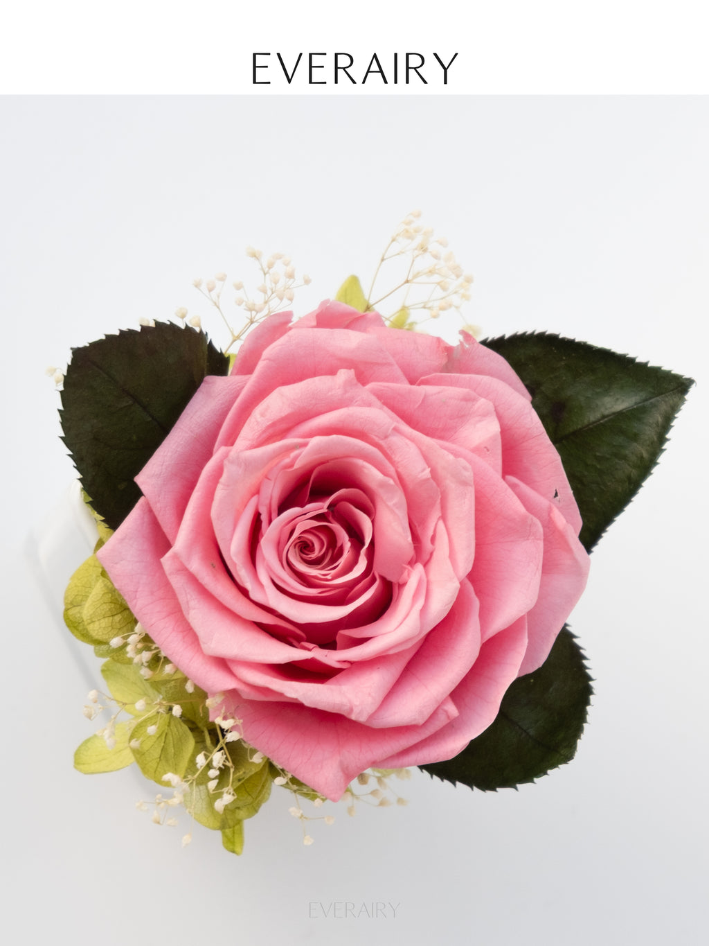 Blush Secret - Preserved Flower Arrangement