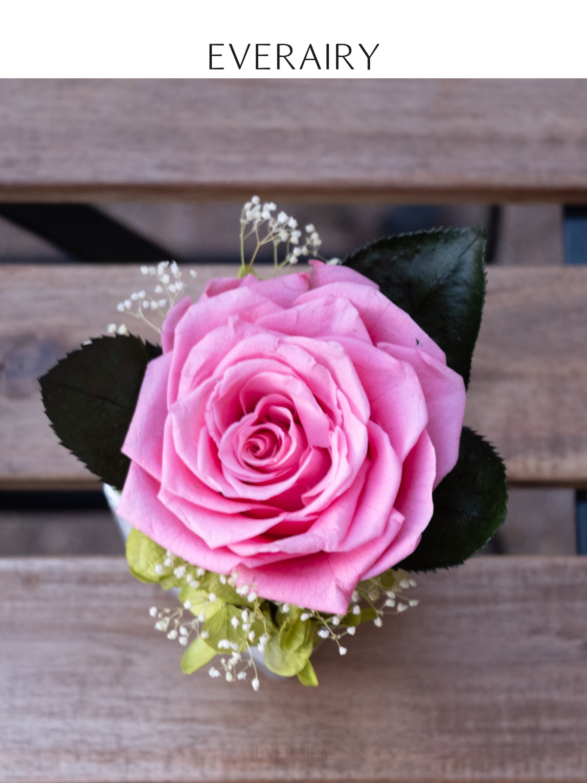 Blush Secret - Preserved Flower Arrangement