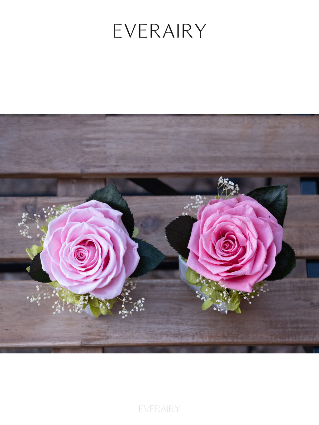 Blush Secret - Preserved Flower Arrangement
