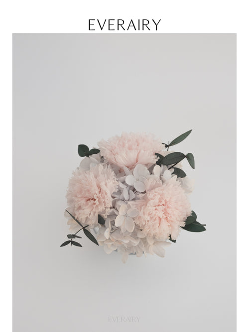 Blush Cadence - Preserved Flower Arrangement