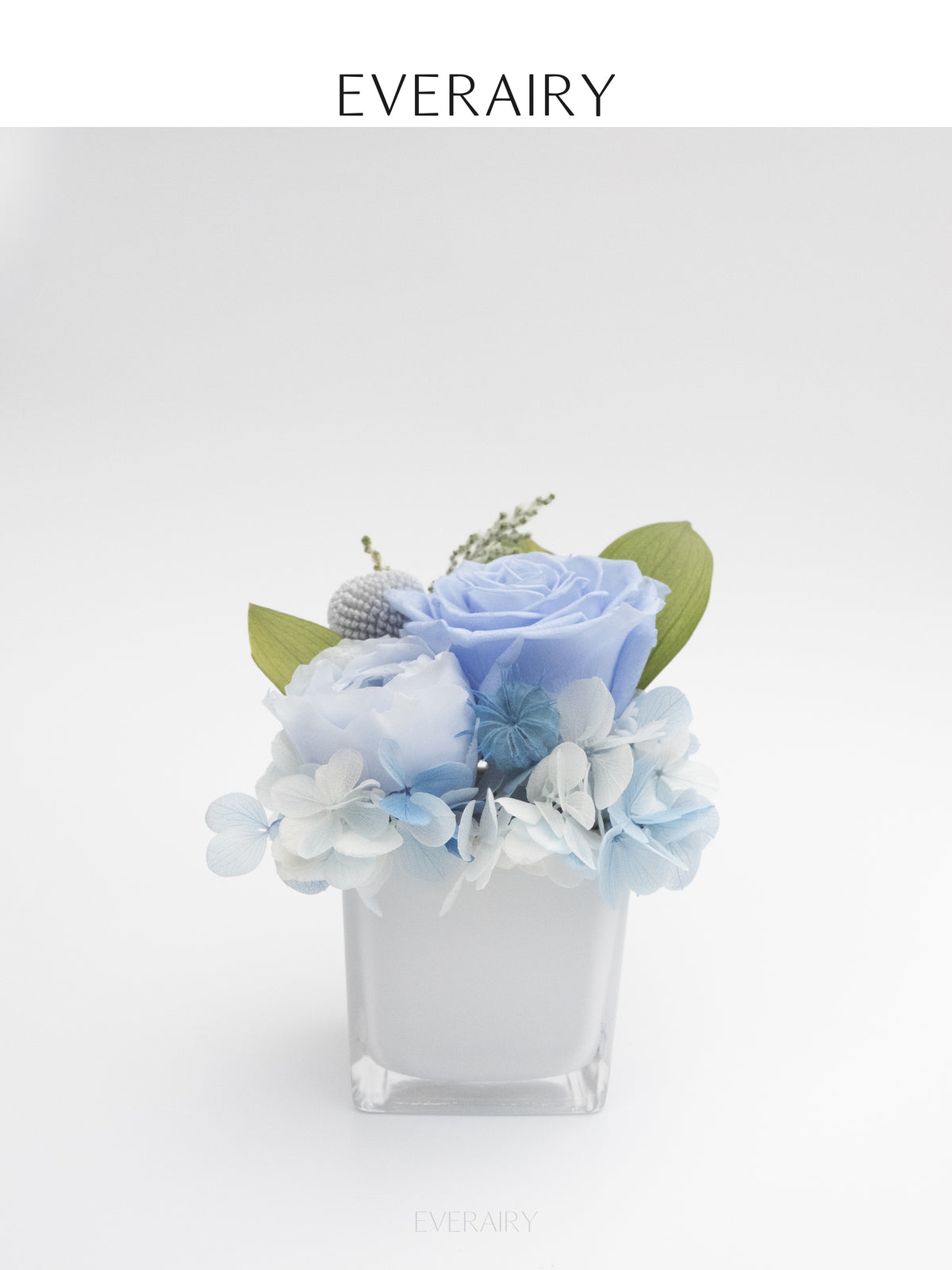 Rose Duet - Preserved Flower Arrangement - Blue