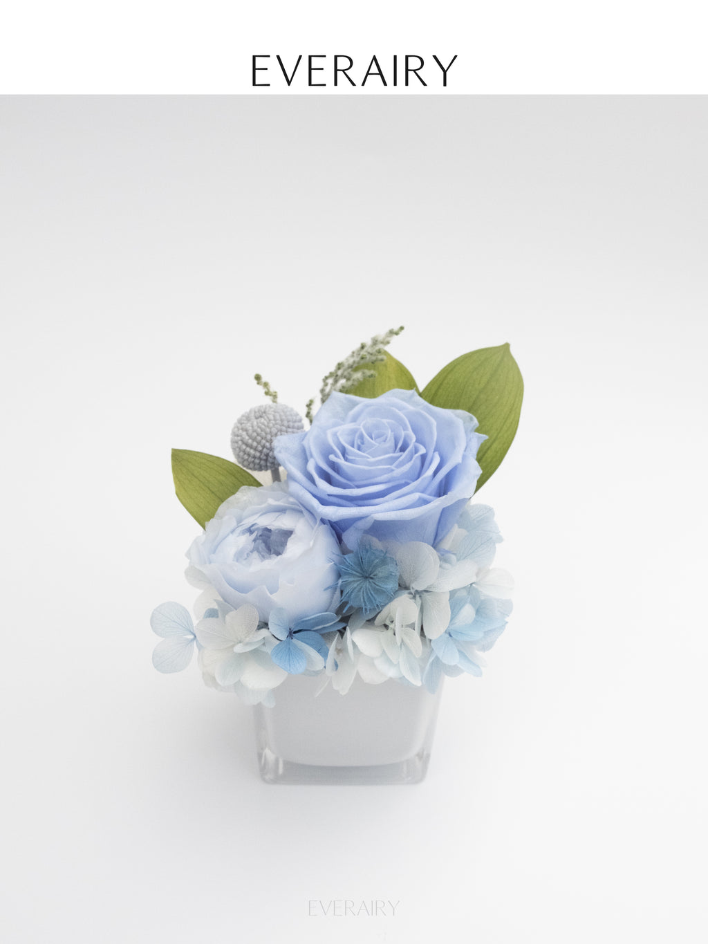Rose Duet - Preserved Flower Arrangement - Blue