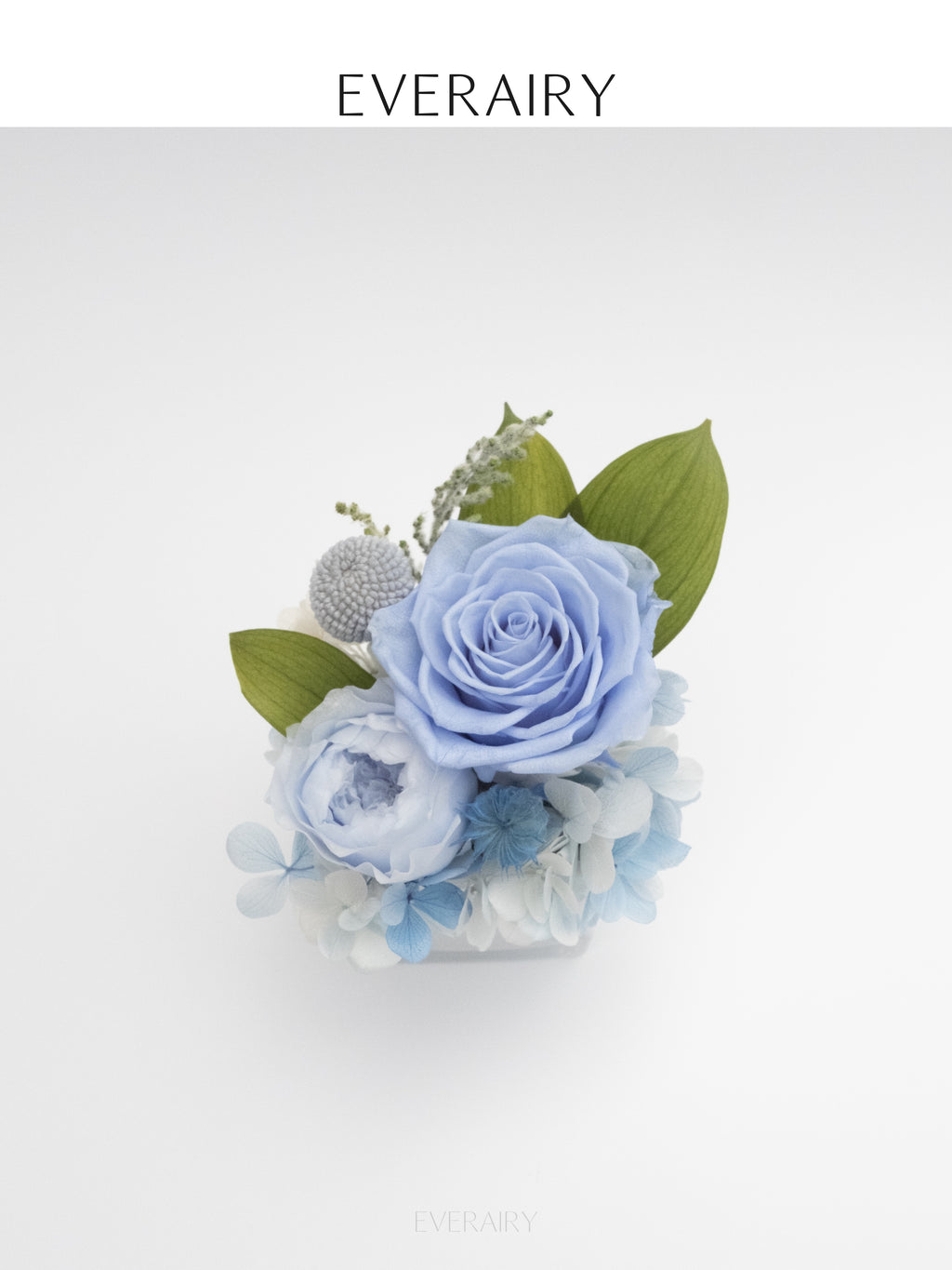 Rose Duet - Preserved Flower Arrangement - Blue