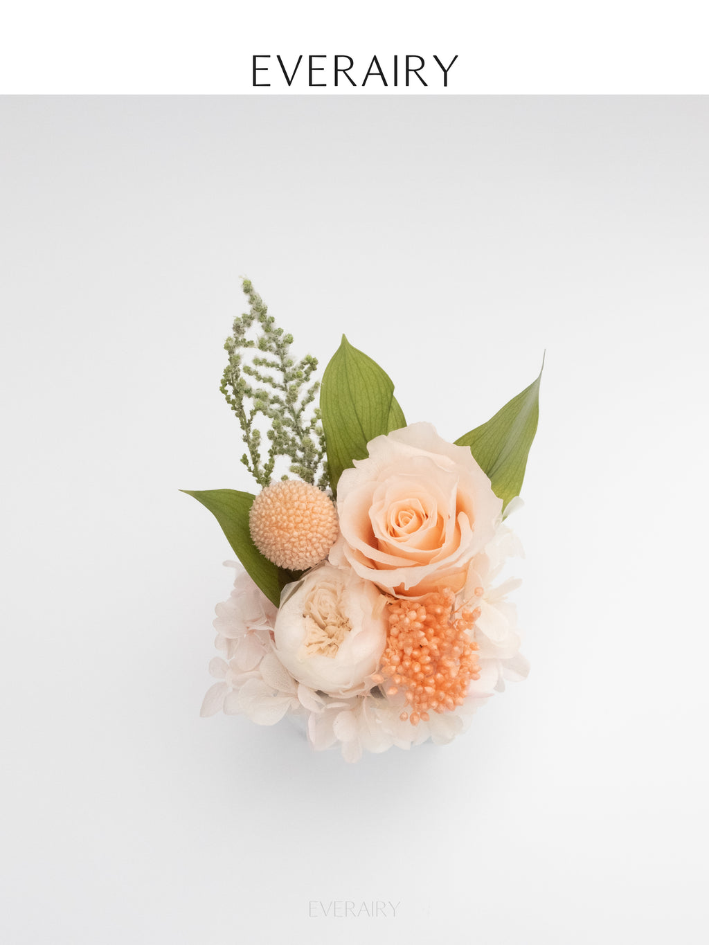 Rose Duet - Preserved Flower Arrangement - Champagne