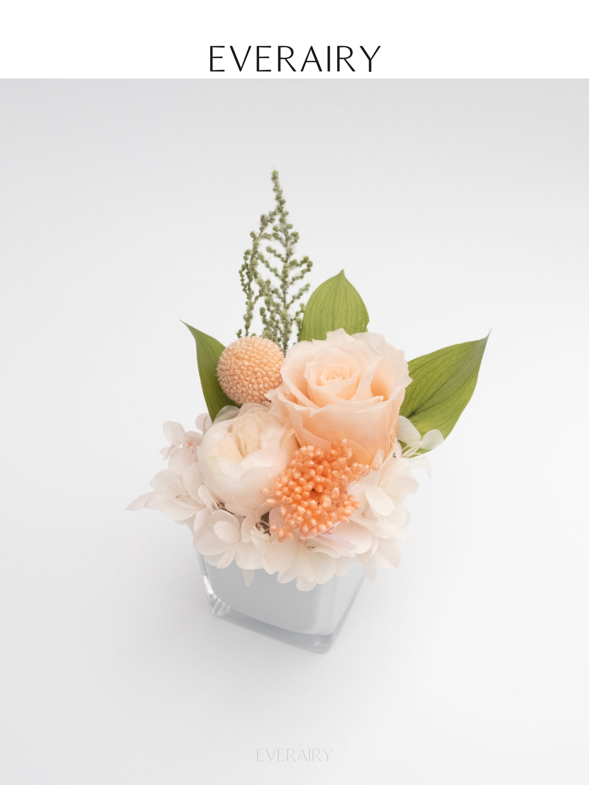 Rose Duet - Preserved Flower Arrangement - Champagne