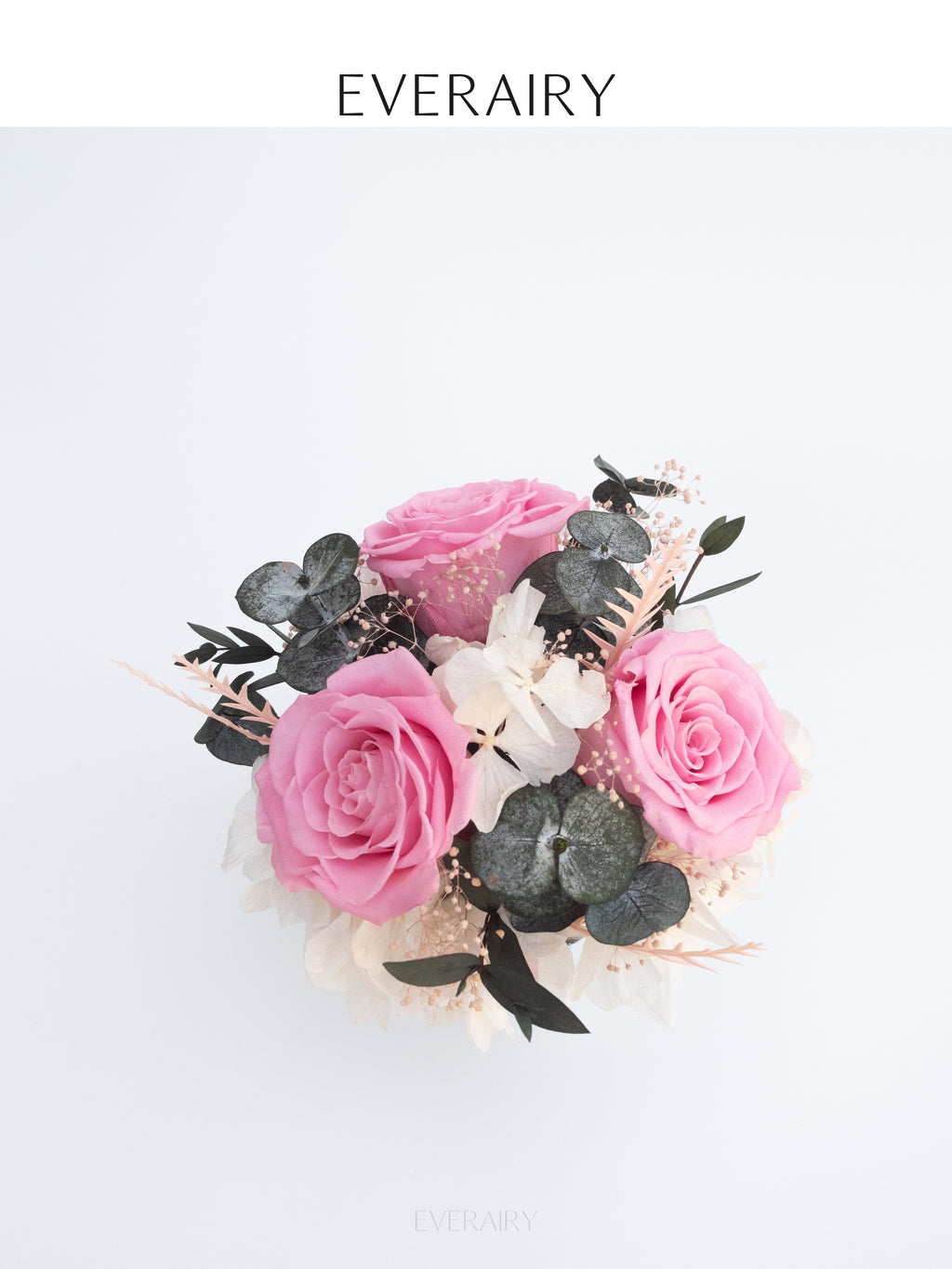 Blush Halo - Preserved Flower Arrangement