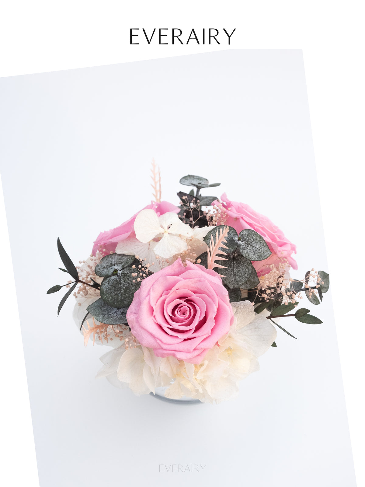 Blush Halo - Preserved Flower Arrangement