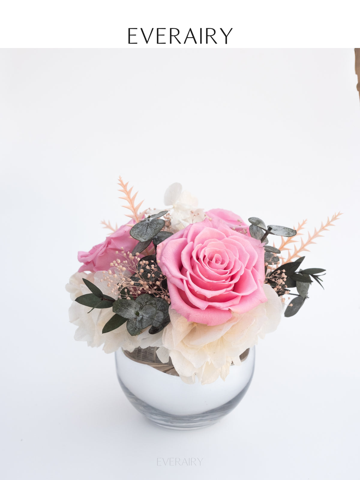 Blush Halo - Preserved Flower Arrangement