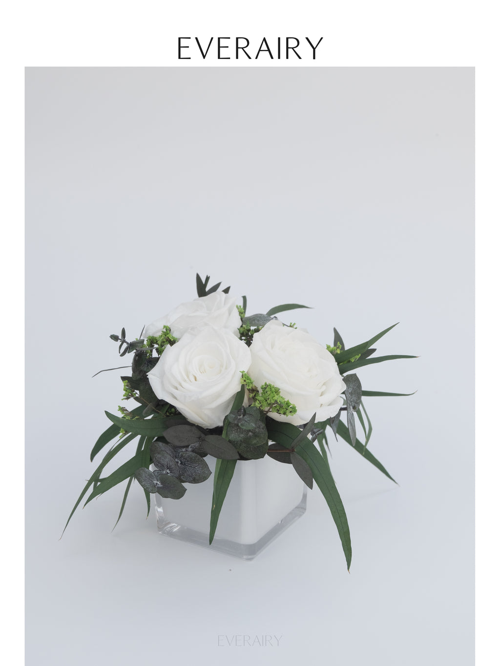 Ivory Arc - Preserved Flower Arrangement