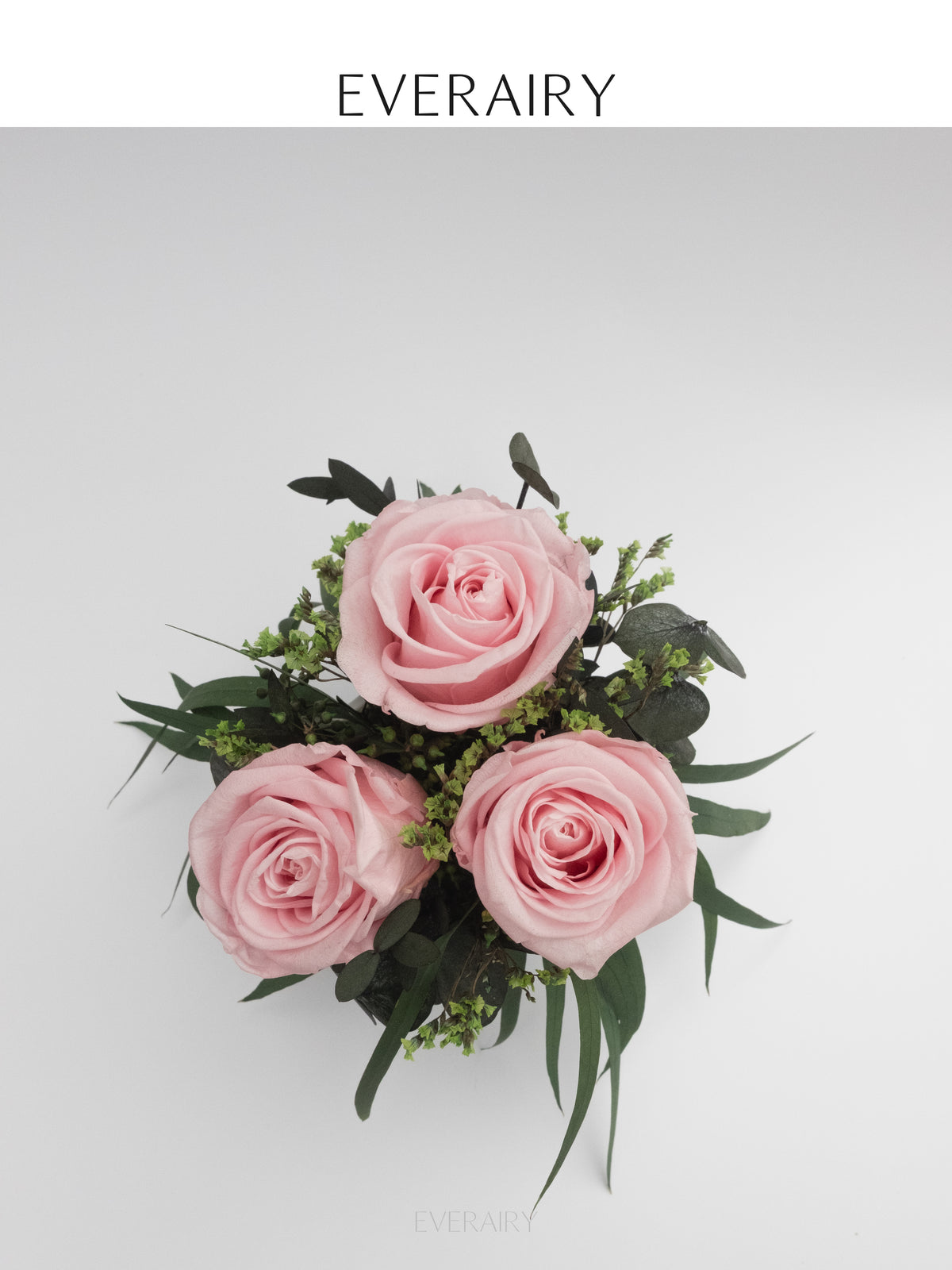 Blush Arc - Preserved Flower Arrangement
