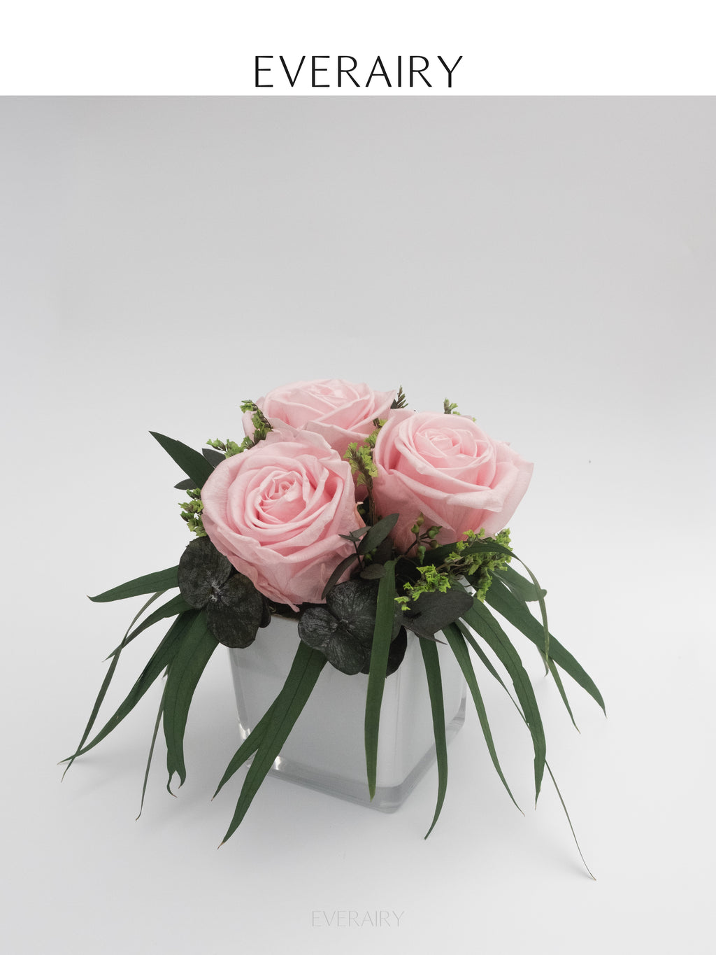 Blush Arc - Preserved Flower Arrangement