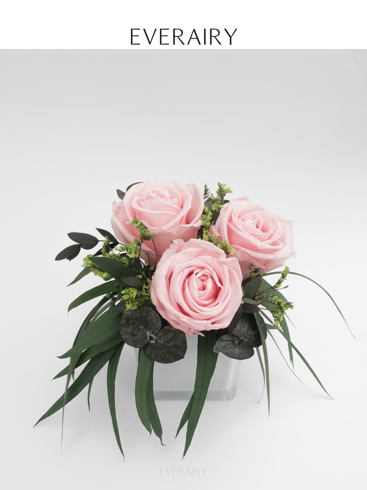Blush Arc - Preserved Flower Arrangement