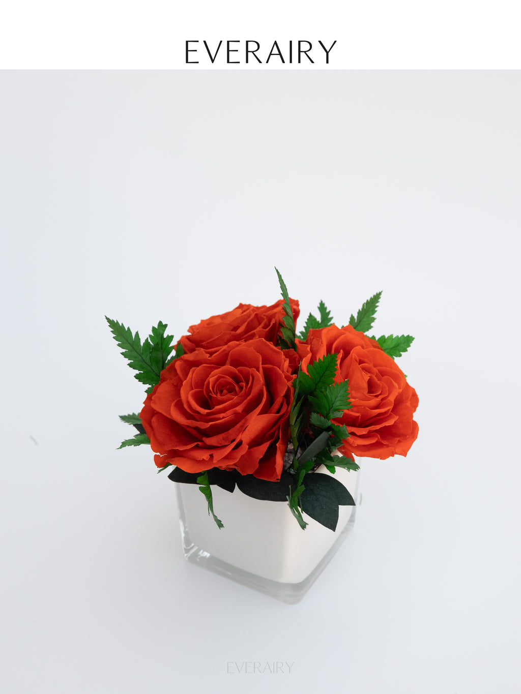 Tangerine Note - Preserved Flower Arrangement