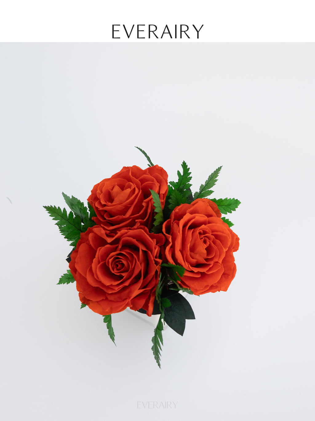 Tangerine Note - Preserved Flower Arrangement