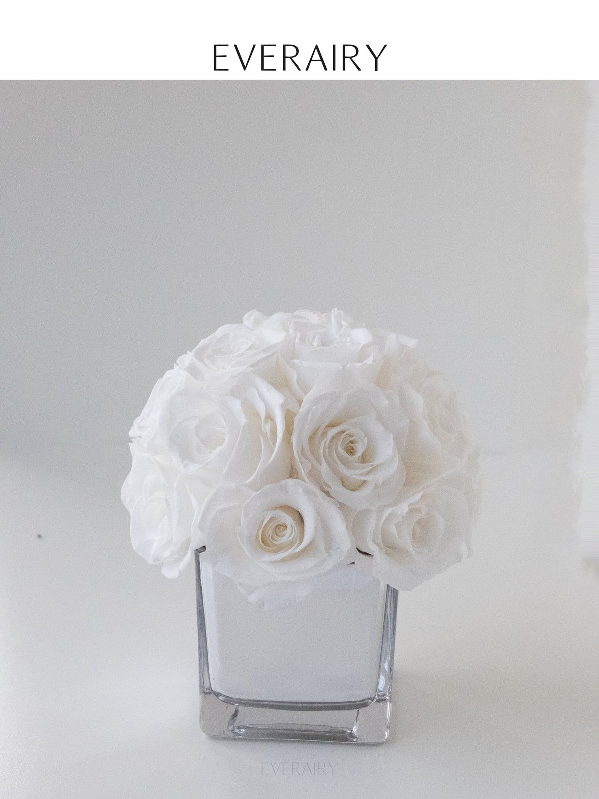 Ivory Embrace - Preserved Flower Arrangement - White