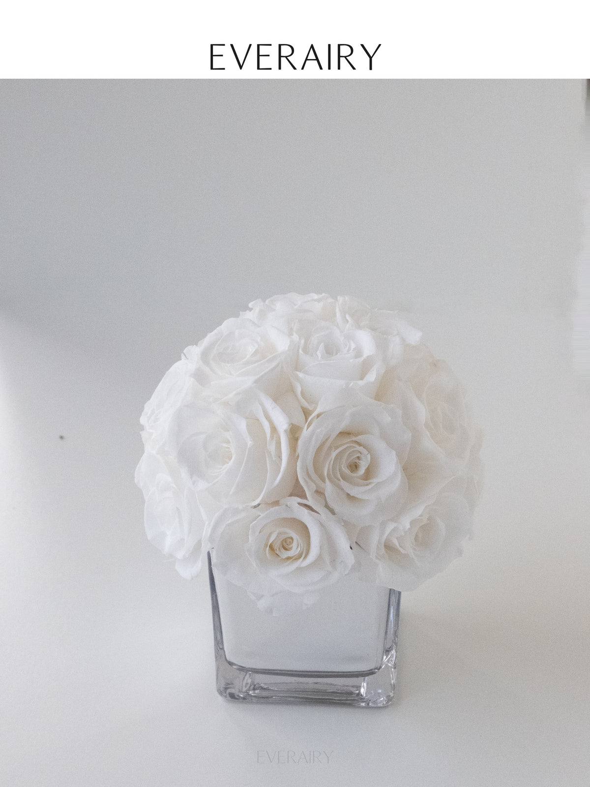 Ivory Embrace - Preserved Flower Arrangement - White