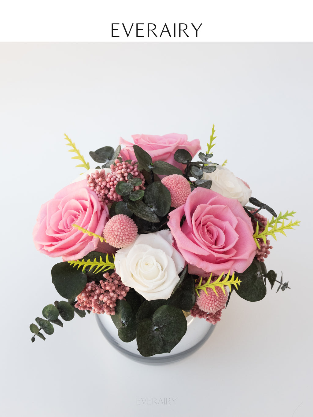 Blush Pom-Pom - Preserved Flower Arrangement