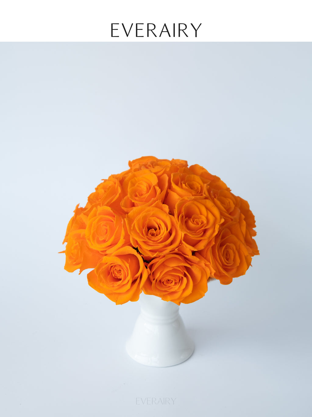Clementine Glow - Preserved Flower Arrangement