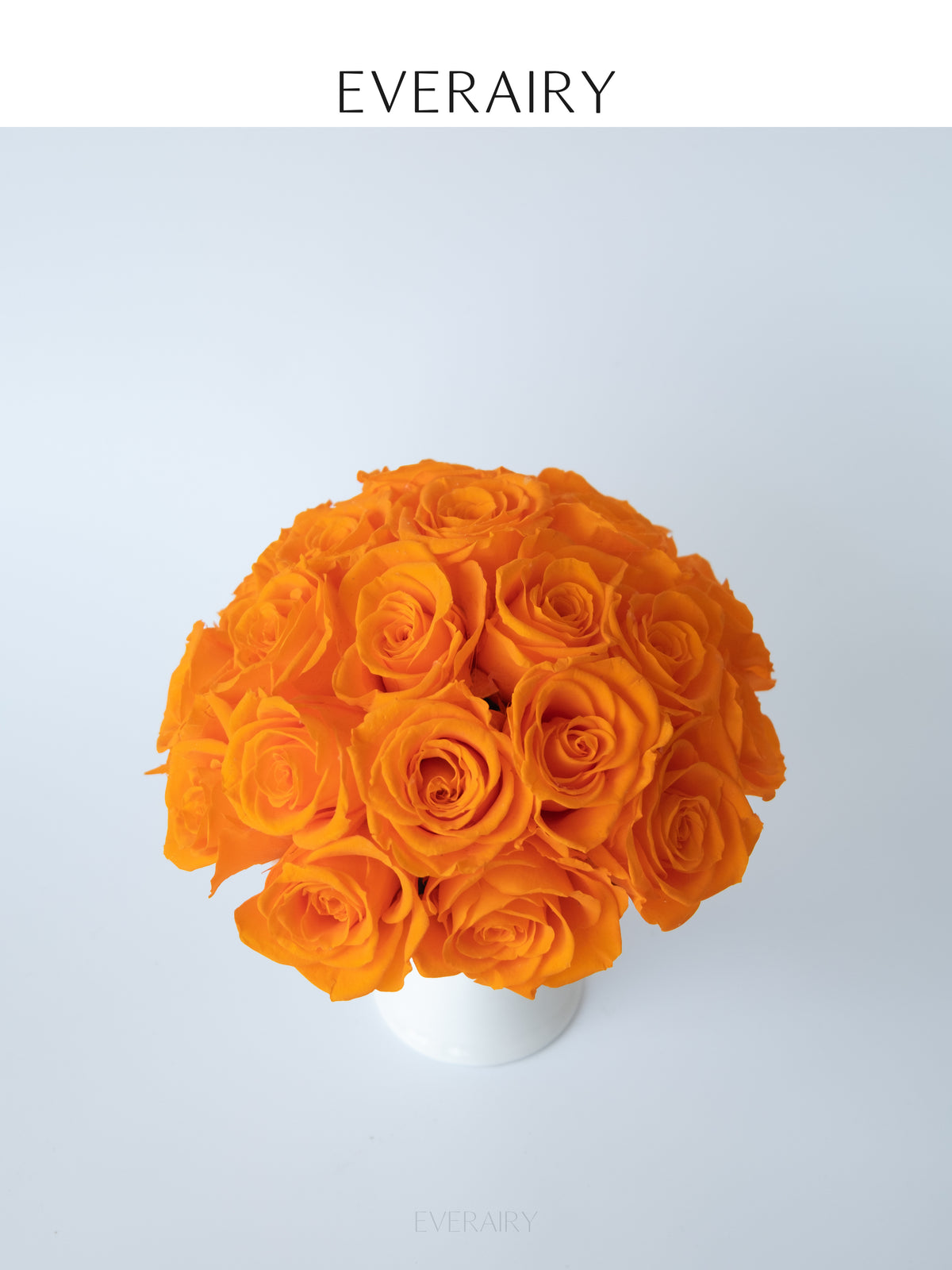Clementine Glow - Preserved Flower Arrangement