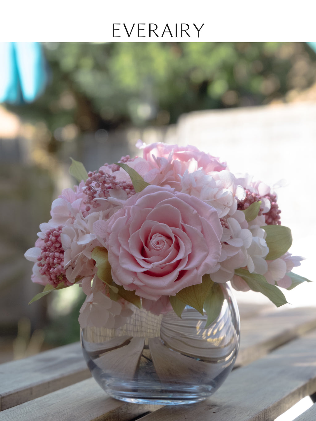 Blush Cloud Quartet - Preserved Flower Arrangement