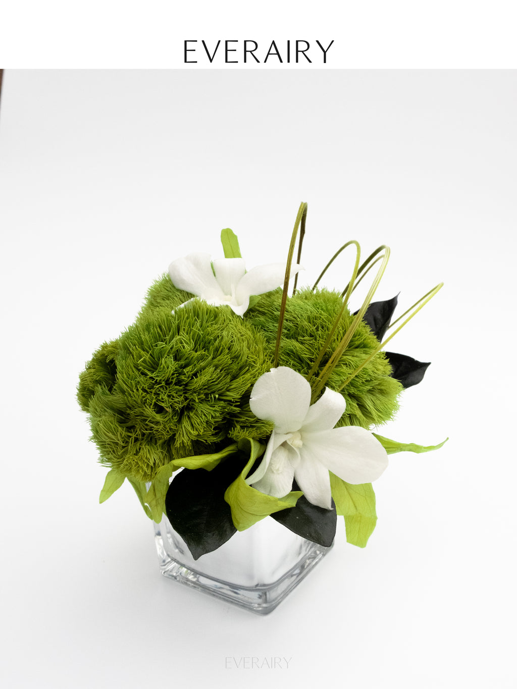 Orchid Stillness - Preserved Flower Arrangement