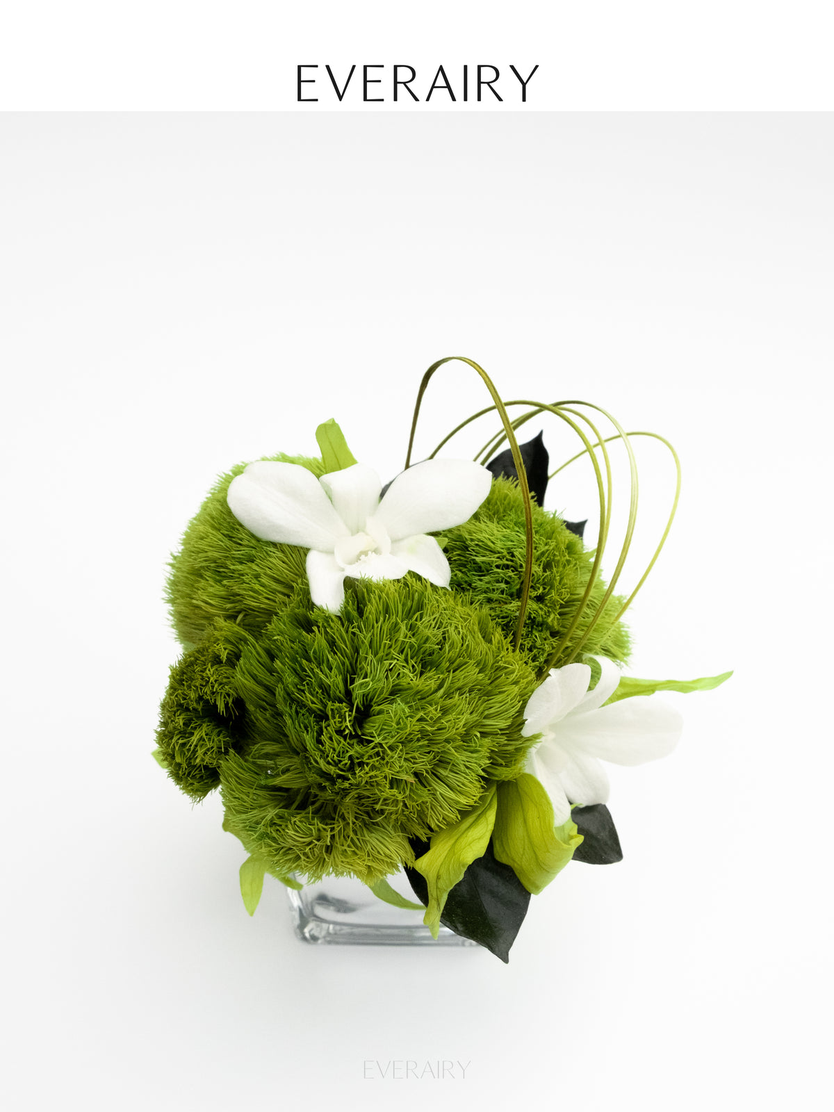 Orchid Stillness - Preserved Flower Arrangement