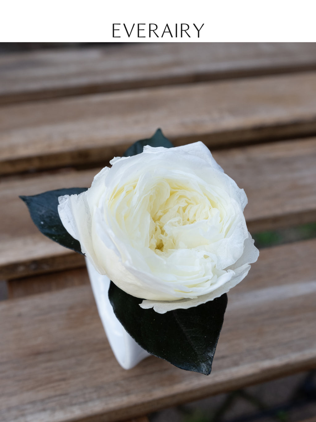 Buttercup Place - Preserved Flower Napkin Ring
