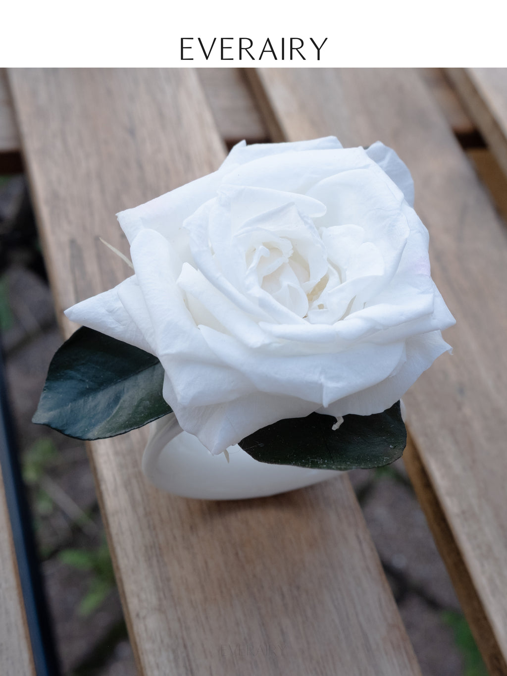 Ivory Place - Preserved Flower Napkin Ring