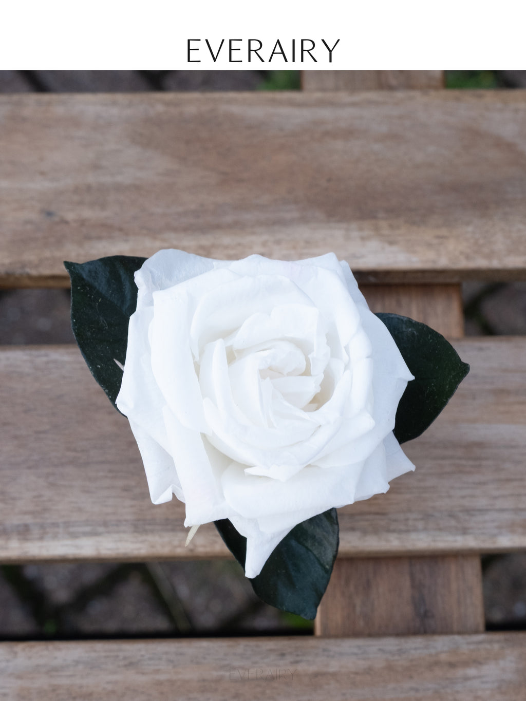 Ivory Place - Preserved Flower Napkin Ring