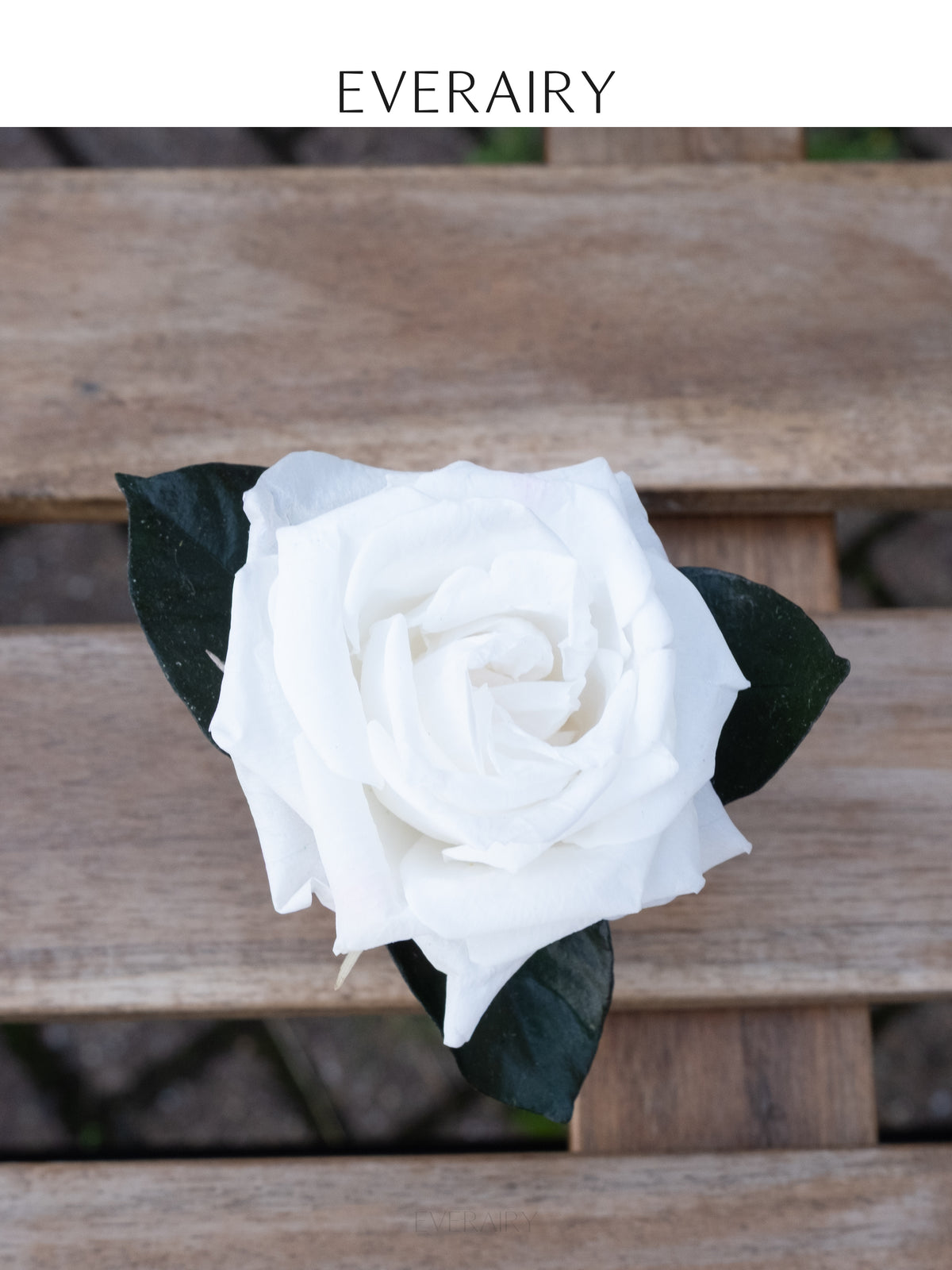 Ivory Place - Preserved Flower Napkin Ring